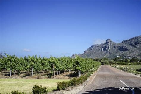 Cape Town Wine Route - South Africa - Dr Prem Travel & Tourism Guide, Consultancy & Magazine