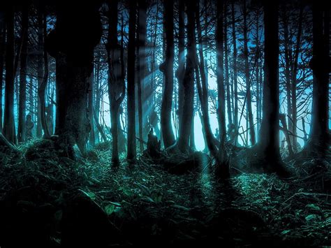 Scary Woods, Horror Forest HD wallpaper | Pxfuel