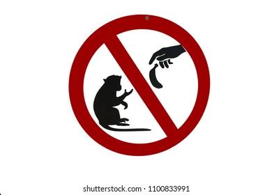 1,002 No Animal Feeding Sign Images, Stock Photos, 3D objects, & Vectors | Shutterstock