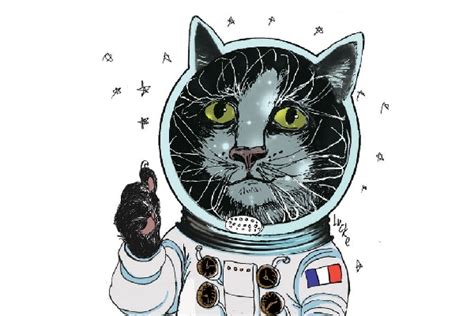 Félicette, The First Cat in Space: Her Story & Contribution to Science - Catster