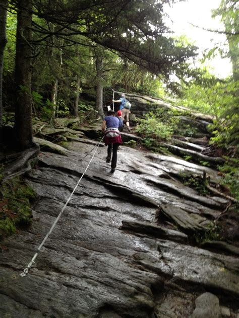 Grandfather Trail To Macrae Peak | Grandfather mountain, Grandfather, Places to visit