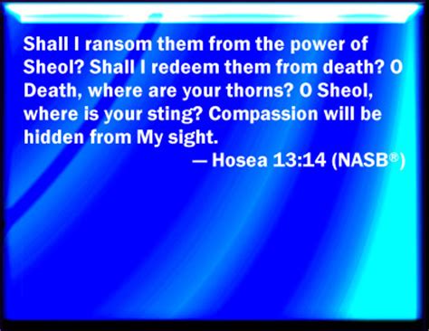 Bible Verse Powerpoint Slides for Hosea 13:14