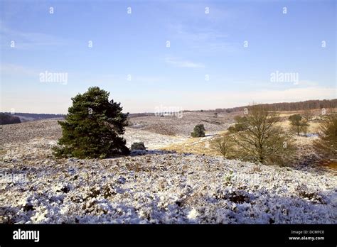 winter in Netherlands Stock Photo - Alamy