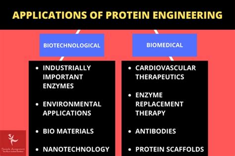 Protein Engineering Laboratory Assignment Help by Australian Writer