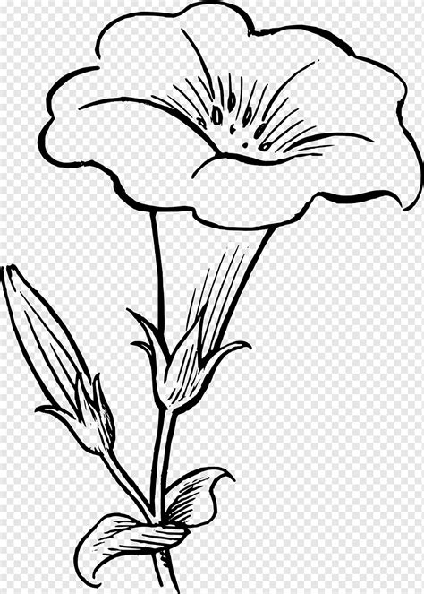 Drawing Flower Black and white, flower, watercolor Painting, white, leaf png | PNGWing