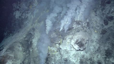 Scientists research deep-sea hydrothermal vents, find carbon-removing properties - UGA Today