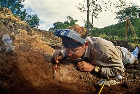 Excavation of Human Ancestor Fossils Begins in South African Cave