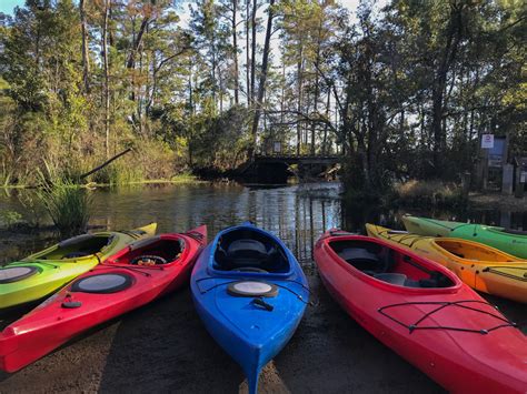 An Afternoon Kayaking in Alligator River National Wildlife Refuge - Thirdeyemom