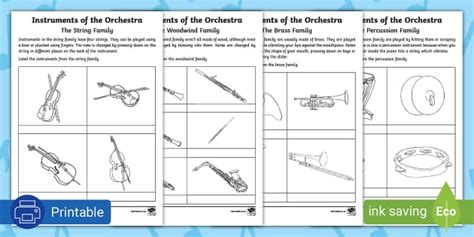 Instruments of the Orchestra - Activity Sheet (Teacher-Made)