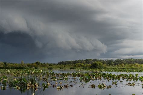 The monsoon arrives over northern Australia