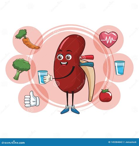 Kidney Funny Cartoon Vector Illustration | CartoonDealer.com #145355330