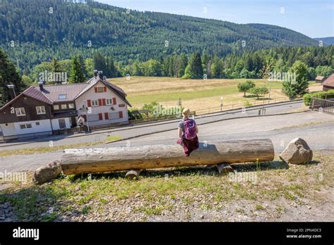 Hiking woman sitting on tree trunk on the hiking trail Sprollenhaeuser Hut, Bad Wildbad, Black ...