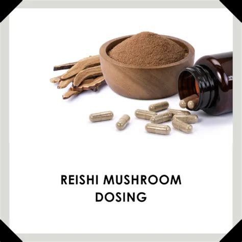 Reishi Mushroom Dosing – The Konnexion