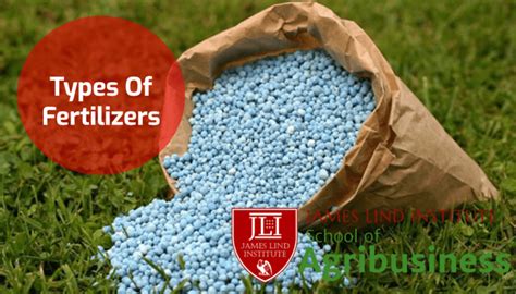 Types Of Fertilizers | JLI Blog