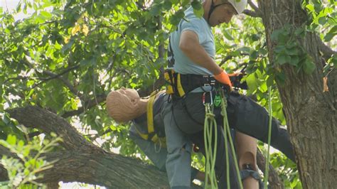 Professional tree climbers compete in Lethbridge for championship - Lethbridge | Globalnews.ca