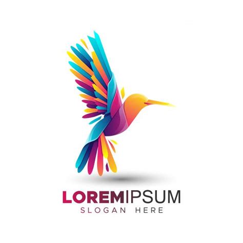 Premium Vector | Colorful hummingbird logo template | Bird logo design, Elephant logo design ...