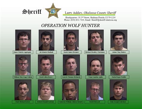 Operation Wolf Hunter Nets 16 Arrests | Okaloosa County Sheriff's Office