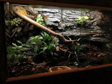 Snake terrarium, Snake enclosure, Snake tank