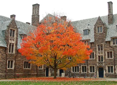 Princeton dorms and fall colors | University architecture, Princeton, Dark academia dorm