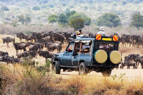 Kenya Safari Plan - Safari Planning Tips