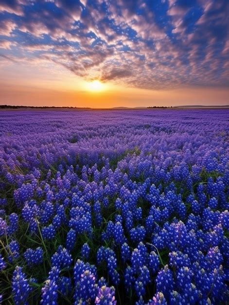 Premium AI Image | arafed view of a field of bluebonnets at sunset generative ai