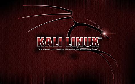 Kali linux 1080P, 2K, 4K, 5K HD wallpapers free download | Wallpaper Flare