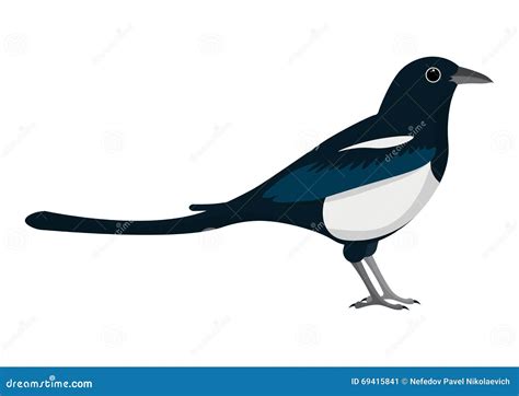 Magpie Cartoon Vector Illustration. Stock Vector - Illustration of ...