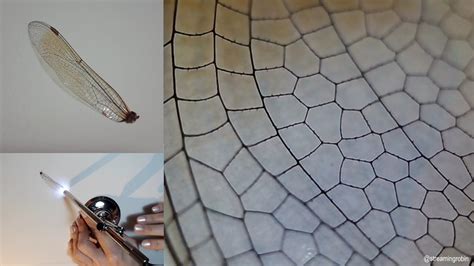 Dragonfly Wing Under Microscope - YouTube