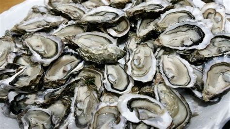 Chincoteague Chamber of Commerce to host 46th annual Oyster Festival - 47abc