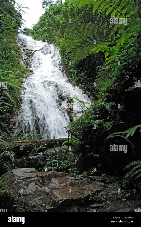 Waterfall, Bwindi Impenetrable National Park, Uganda, East Africa Stock ...