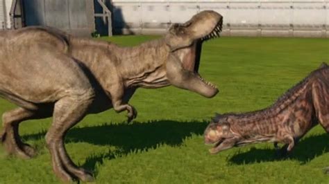 Carnotaurus Size Comparison T Rex