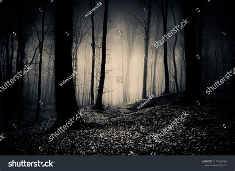 27.322 Gothic Forest Background Images, Stock Photos & Vectors | Shutterstock