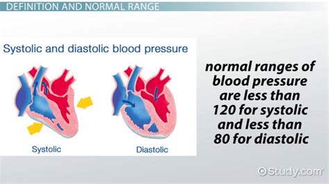 Pulse Pressure Definition & Normal Range - Lesson | Study.com