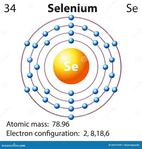 [DIAGRAM] Orbital Diagram Selenium - MYDIAGRAM.ONLINE