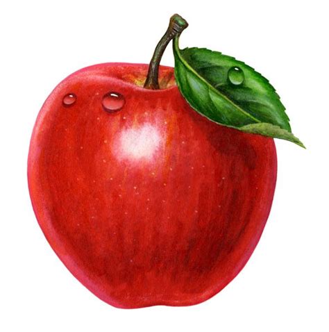 #5 AN APPLE A DAY – PART 1 | Fruit painting, Apple painting, Fruit art