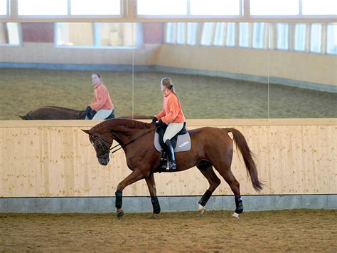 Riding arena mirrors | High-quality, break-resistant custom-made