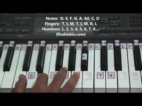 ‘D’ Minor Scale – Right hand finger pattern for Single Octave – Rushis Biz – Music