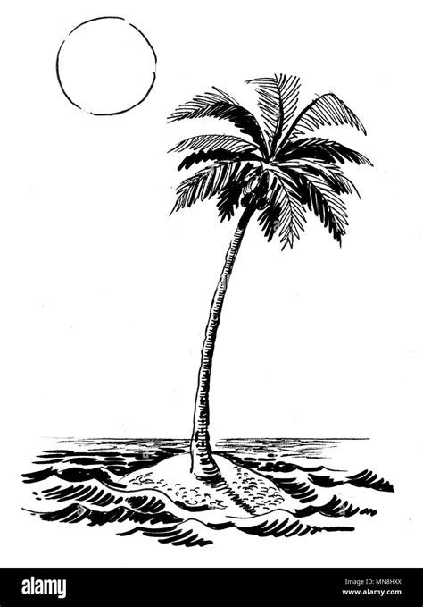 Palm tree on a deserted island. Ink black and white drawing Stock Photo ...