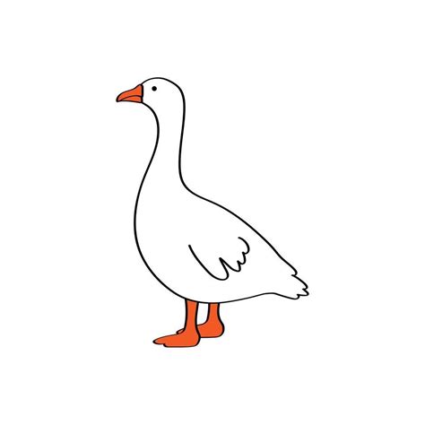 Vector white cartoon goose isolated on white background. Drawing in outline style standing ...