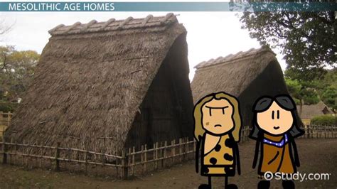 The Stone Age: Shelters, Huts & Houses - Lesson | Study.com