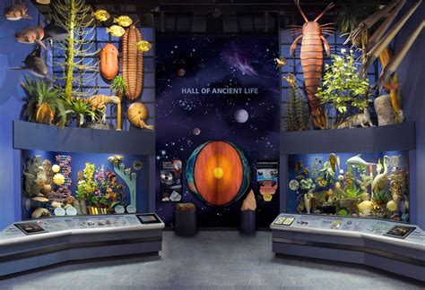 Chase Studio Inc. Home of natural history exhibit designers and ...