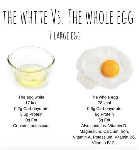 Fried Egg White Nutrition - Effective Health