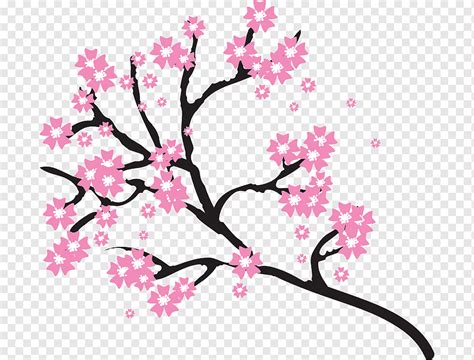 Cherry blossom Drawing, BLOSSOM, pencil, branch, plant Stem png | PNGWing