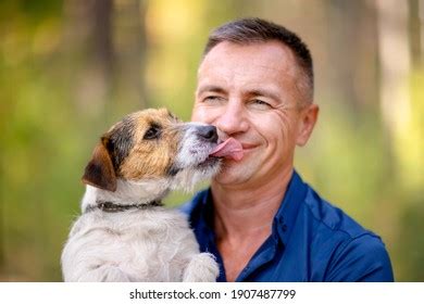 Little Dog Licks Human Face Man Stock Photo 1907487799 | Shutterstock