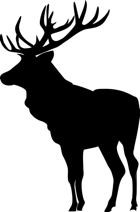 Moose, elk PNG