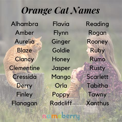 +20 Cute Female Orange Cat Names 2022 – bestanimalart.com