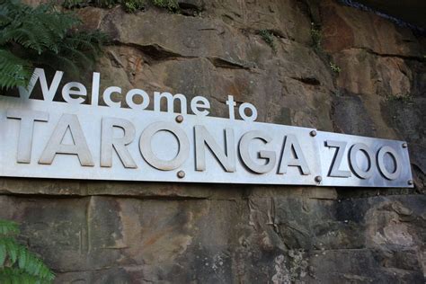 Taronga Zoo - Discount Tickets, Opening Hours, Prices, Animals & Map, Sydney