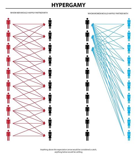 HYPERGAMY: A visual aid for the lurkers, newbies, and other uninitiated men. The chart on the ...