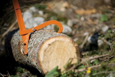 Make Moving Logs Easier With STIHL Forestry Tools | STIHL Blog