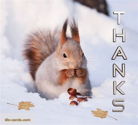 Wintertime Thank You. Free For Everyone eCards, Greeting Cards | 123 ...